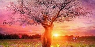 Message de la Fédération Galactique pour l’Humanité